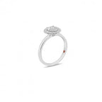 Anello montatura invisibile